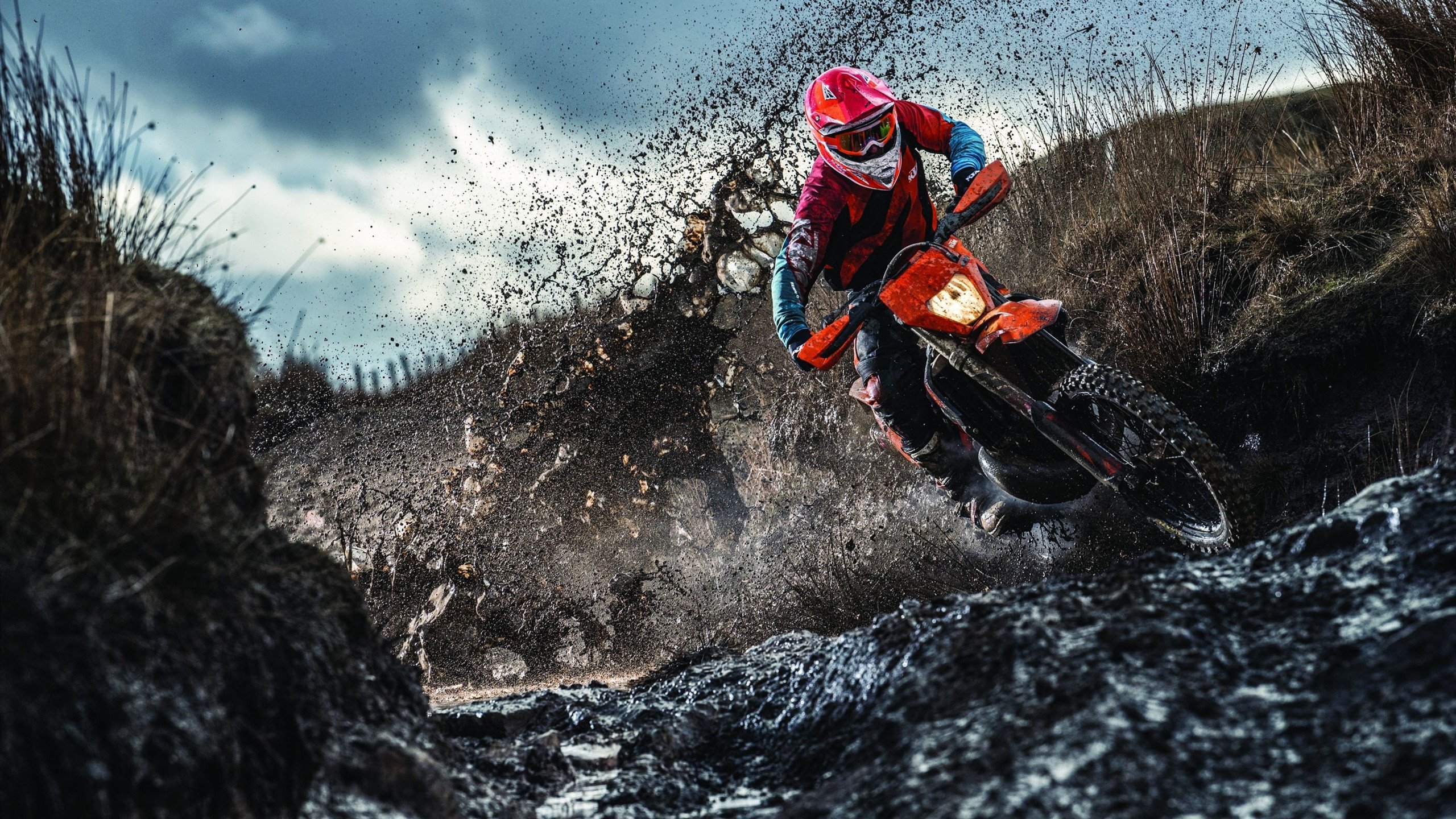 拜仁经验碾压，战术执行完美，拜仁阵型和球队战术